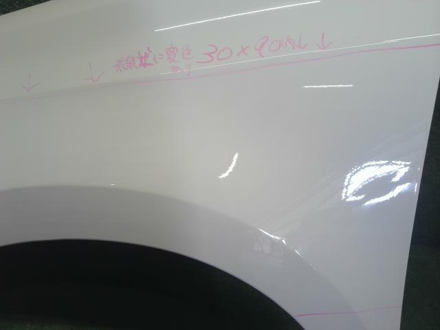 VW ポロ 左Ｆフェンダー DBA-6RCBZ 6R0821105J