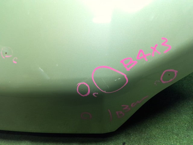 プロボックス ボンネットフード DBE-NCP160V 53301-52380