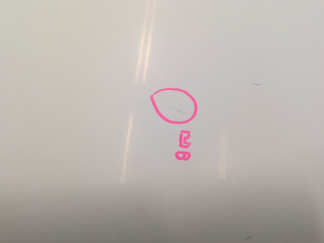 【中古】プロボックス DBE-NCP165V ボンネットフード 53301-52380